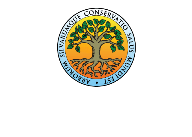 Dendrological Society of South Africa Logo