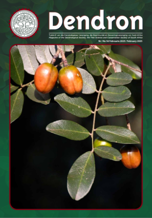 Dendron 56 Mar 2025