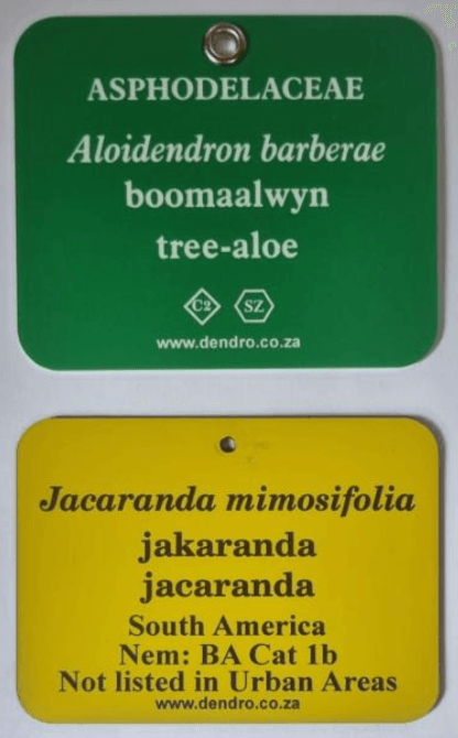 Tree tags